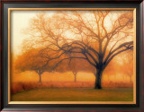 Buy Memory of Trees at AllPosters.com