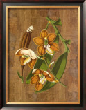 Buy Sumatra Orchids II at AllPosters.com