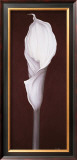 Buy My Small Lily I at AllPosters.com