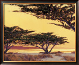 Buy Afterglow at AllPosters.com