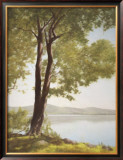 Buy Sunlit Trees I at AllPosters.com