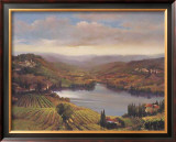 Buy Vineyard View I at AllPosters.com