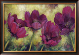 Buy Cosmos at AllPosters.com