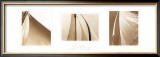 Buy Sail Away Trilogy at AllPosters.com