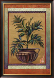 Buy Palm at AllPosters.com
