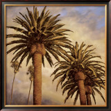 Buy Fog over Canary Palms at AllPosters.com