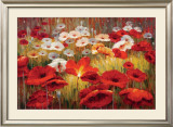 Meadow Poppies II