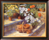 Buy Trugs, Pots and White Flowers at AllPosters.com