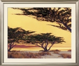 Buy Afterglow at AllPosters.com