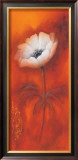 Anemone I