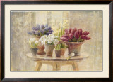 Spring Bulb Still Life