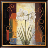 Amaryllis