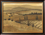Buy Golden Tuscany Afternoon II at AllPosters.com