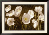 Buy Baroque Poppies at AllPosters.com