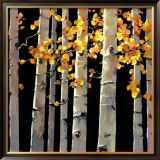 Buy Aspen Grove at AllPosters.com