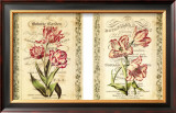 Botanical Garden Petites