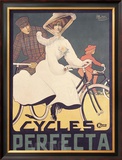 Cycles Perfecta