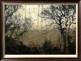 Wooded Solace II