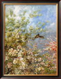 Apple Blossoms