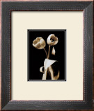 Buy Black and White VI at AllPosters.com