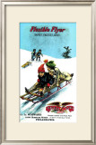 Flexible Flyer Sled