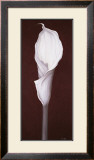 Buy My Small Lily I at AllPosters.com