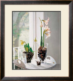 Buy Amaryllus I at AllPosters.com