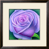 Buy Big Rose, c.2004 at AllPosters.com