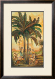 Paradisimo I