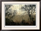 Wooded Solace II