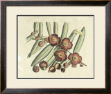 Buy Botanical I at AllPosters.com