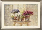 Spring Bulb Still Life