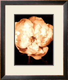 Buy Beautiful Flower III at AllPosters.com