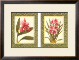 Buy Eleganza! at AllPosters.com