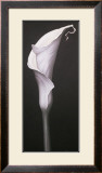 Buy My Small Lily II at AllPosters.com