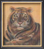 Buy Safari Tiger at AllPosters.com