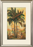 Paradisimo I