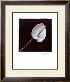 Buy Flower at AllPosters.com