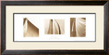 Buy Sail Away Trilogy at AllPosters.com