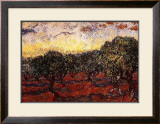 The Olive Grove, c.1889