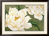Buy Peonies at AllPosters.com