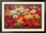 Meadow Poppies II