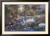 Buy Koi Garden at AllPosters.com
