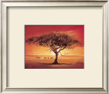Buy Namib at AllPosters.com