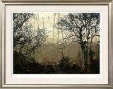 Wooded Solace II