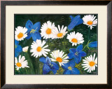Buy Spring Time Friends at AllPosters.com