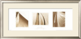 Buy Sail Away Trilogy at AllPosters.com