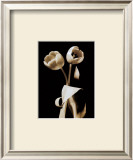 Buy Black and White VI at AllPosters.com