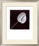 Buy Flower at AllPosters.com