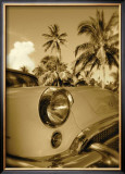 Buy Reflections at AllPosters.com